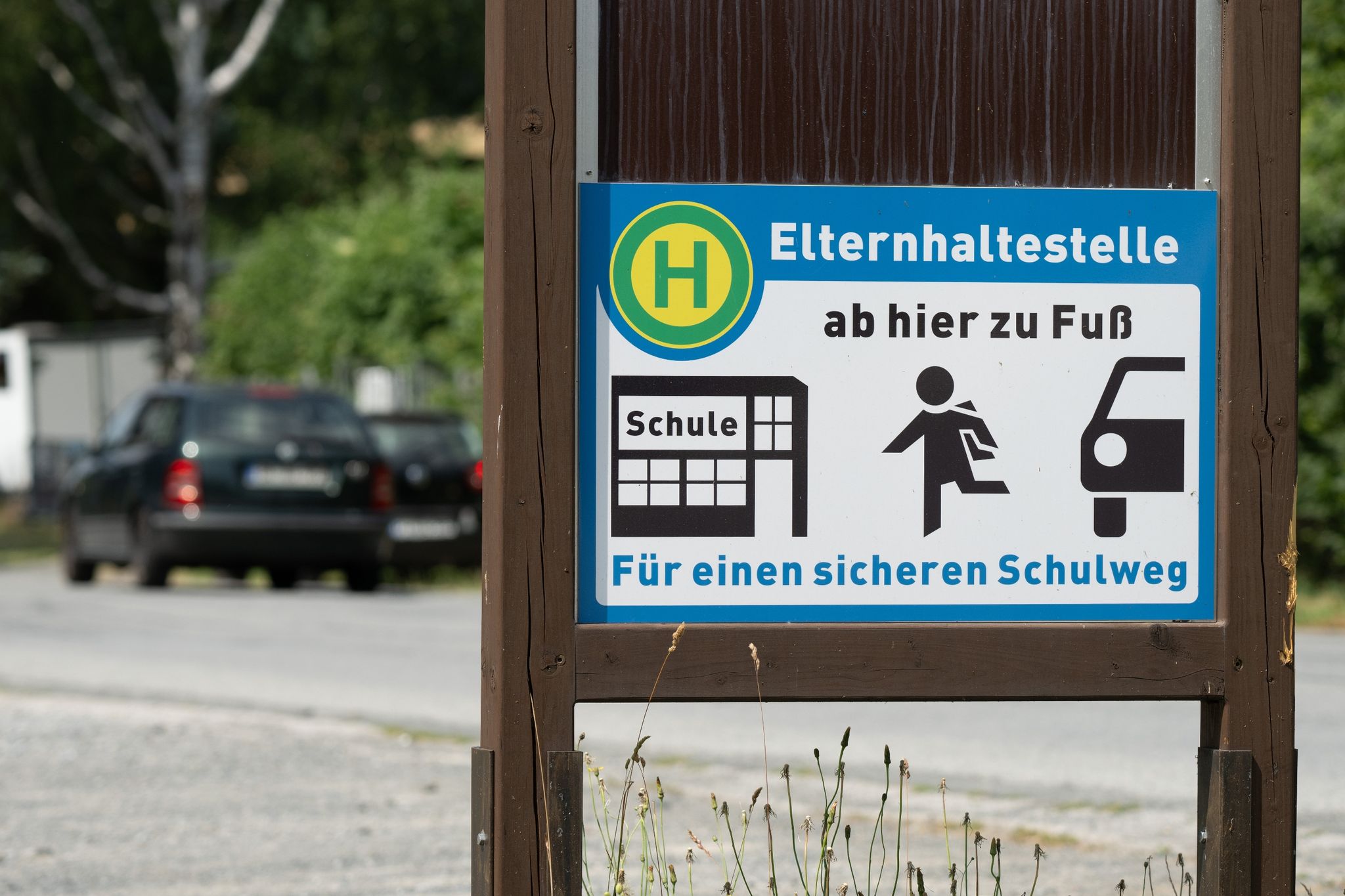 Elterntaxis Stehen Immer Wieder In Der Kritik.