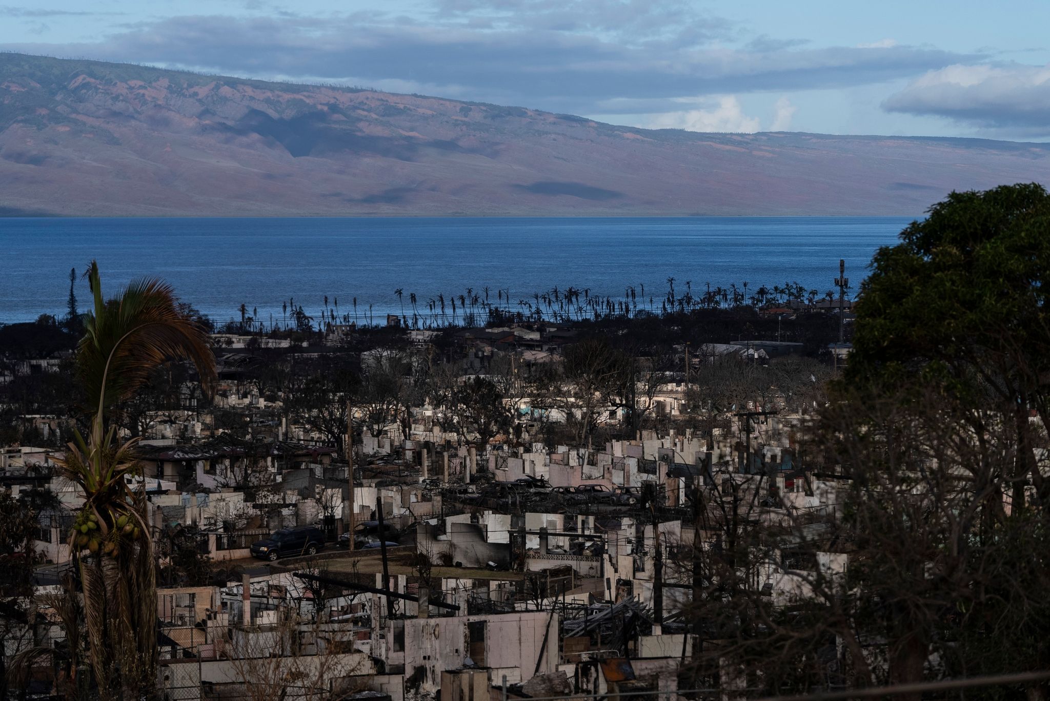 Nach Den Verheerenden Bränden Auf Der Insel Maui Im US-Bundesstaat Hawaii Haben Suchtrupps Weitere Leichen In Ausgebrannten Gebäuden Gefunden.