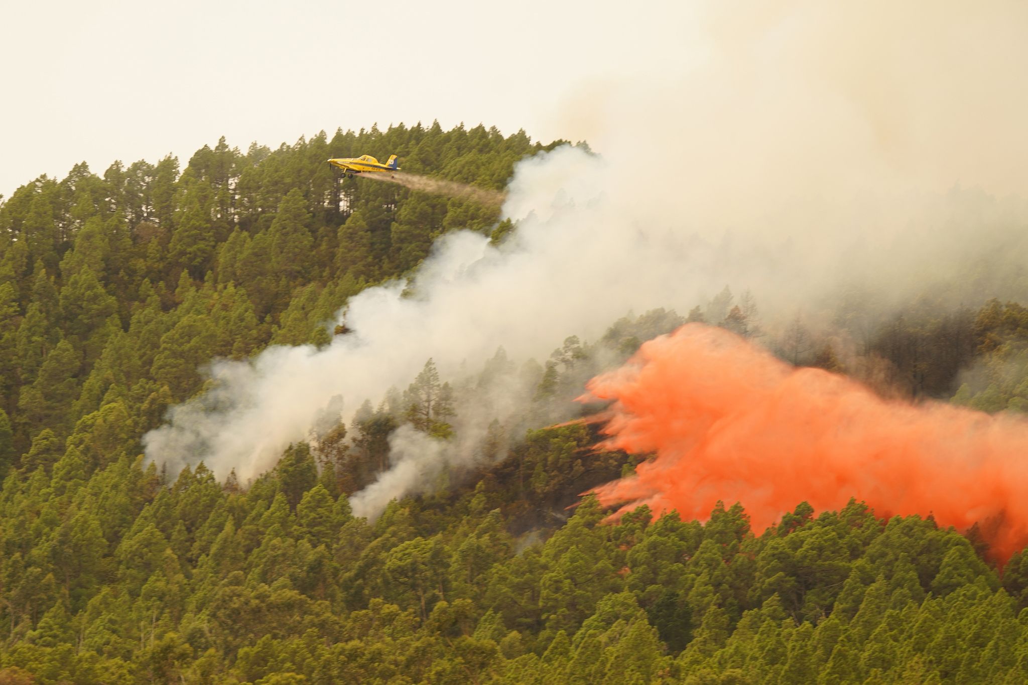 Waldbrand Auf Teneriffa Breitet Sich Langsamer Aus
