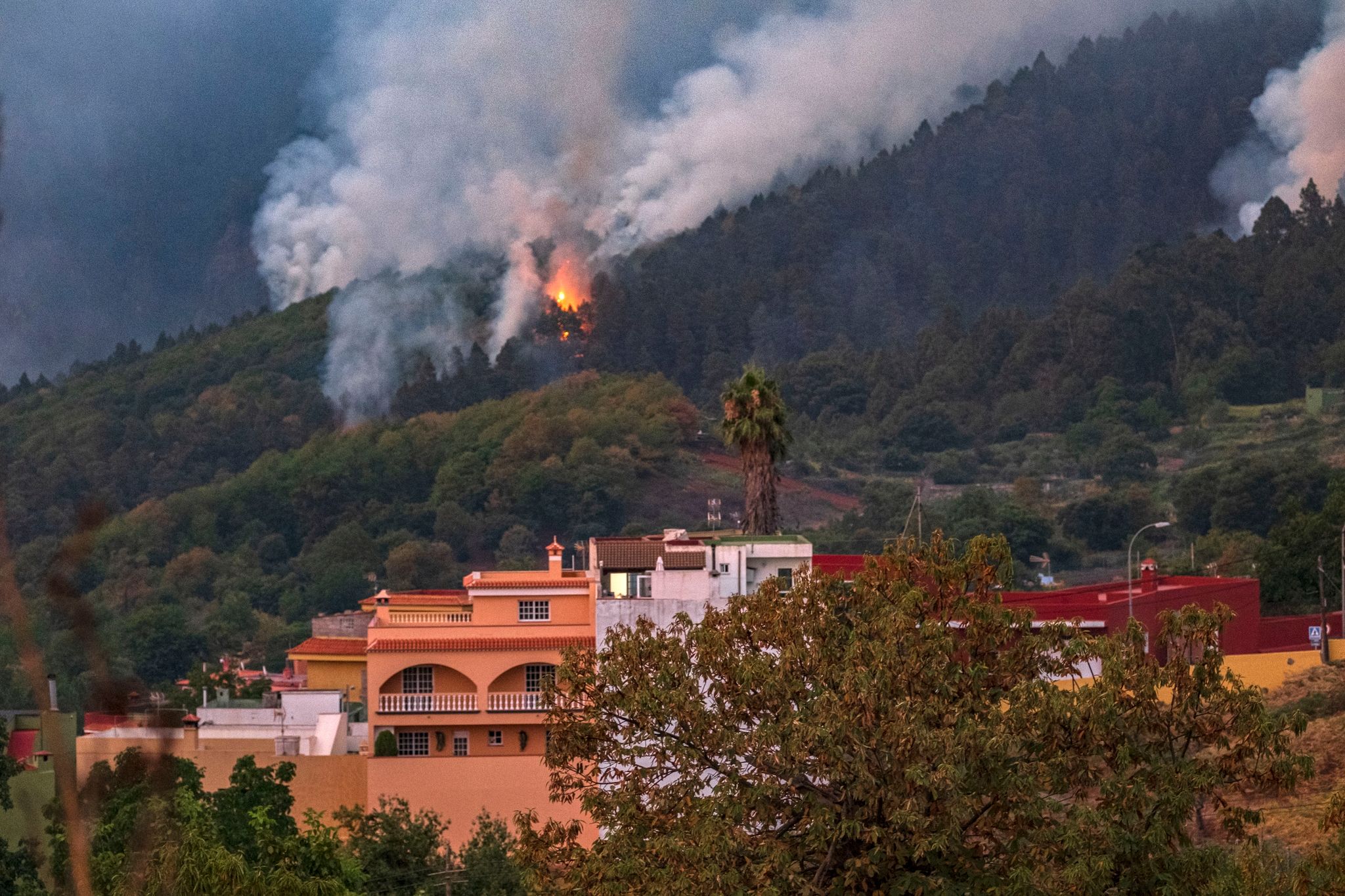 Das Feuer Breitet Sich In La Orotava Aus.