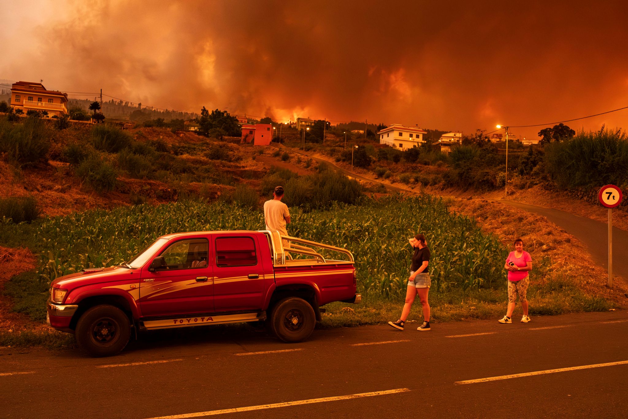 Der Waldbrand Auf Der Kanaren-Insel Teneriffa Geht Wohl Auf Brandstiftung Zurück.
