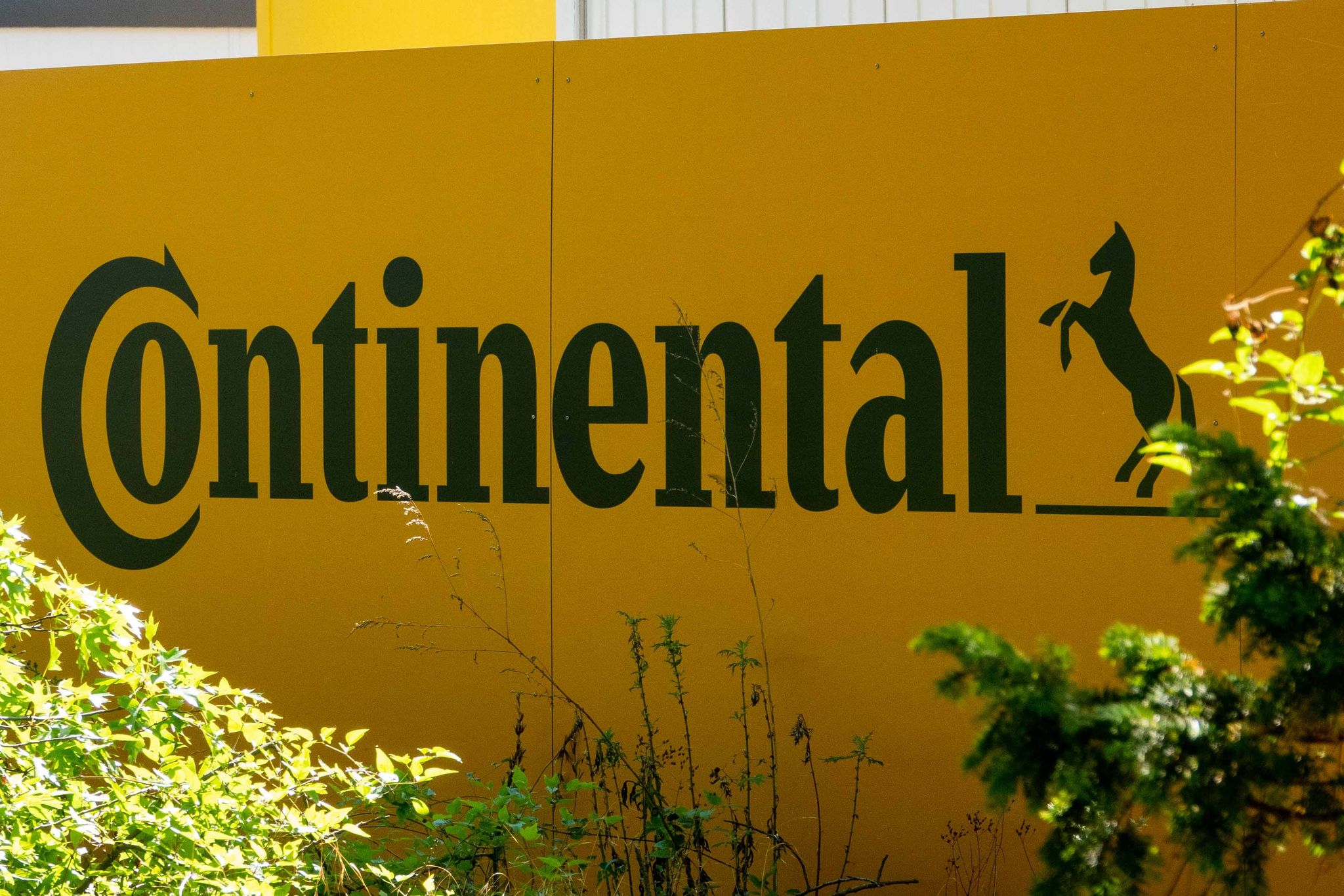 Das Continental Logo Hängt An Einer Wand Nahe Der Zentrale In Hannover.