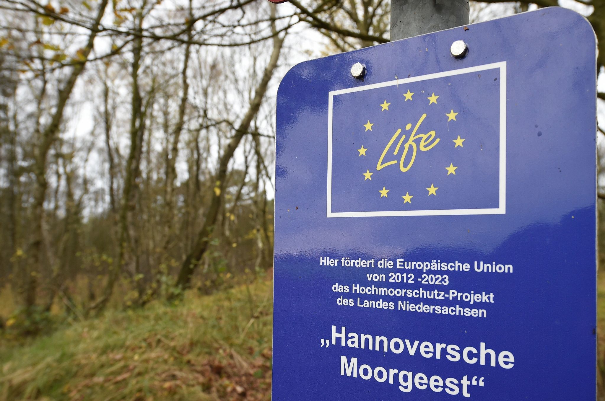 Ein Schild Weist In Der Wedemark Auf Das Hochmoorschutz-Projekt Hin.