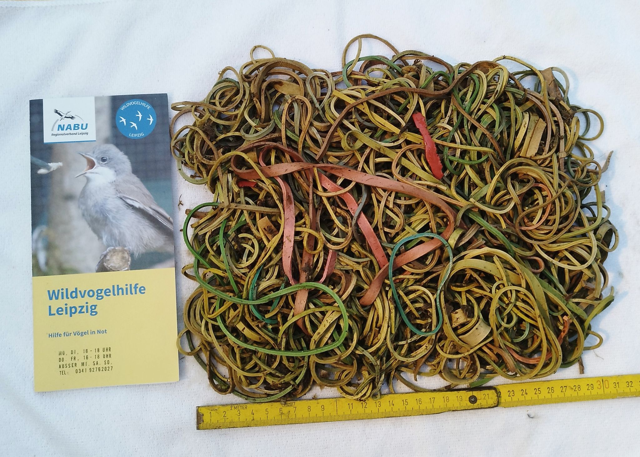 Bei Einem Jungstorch Aus Bad Dürrenberg Wurde Nach Angaben Des Naturschutzbundes Nabu Die Tödliche Menge Von Rund 600 Gramm Gummibändern Im Magen Gefunden.