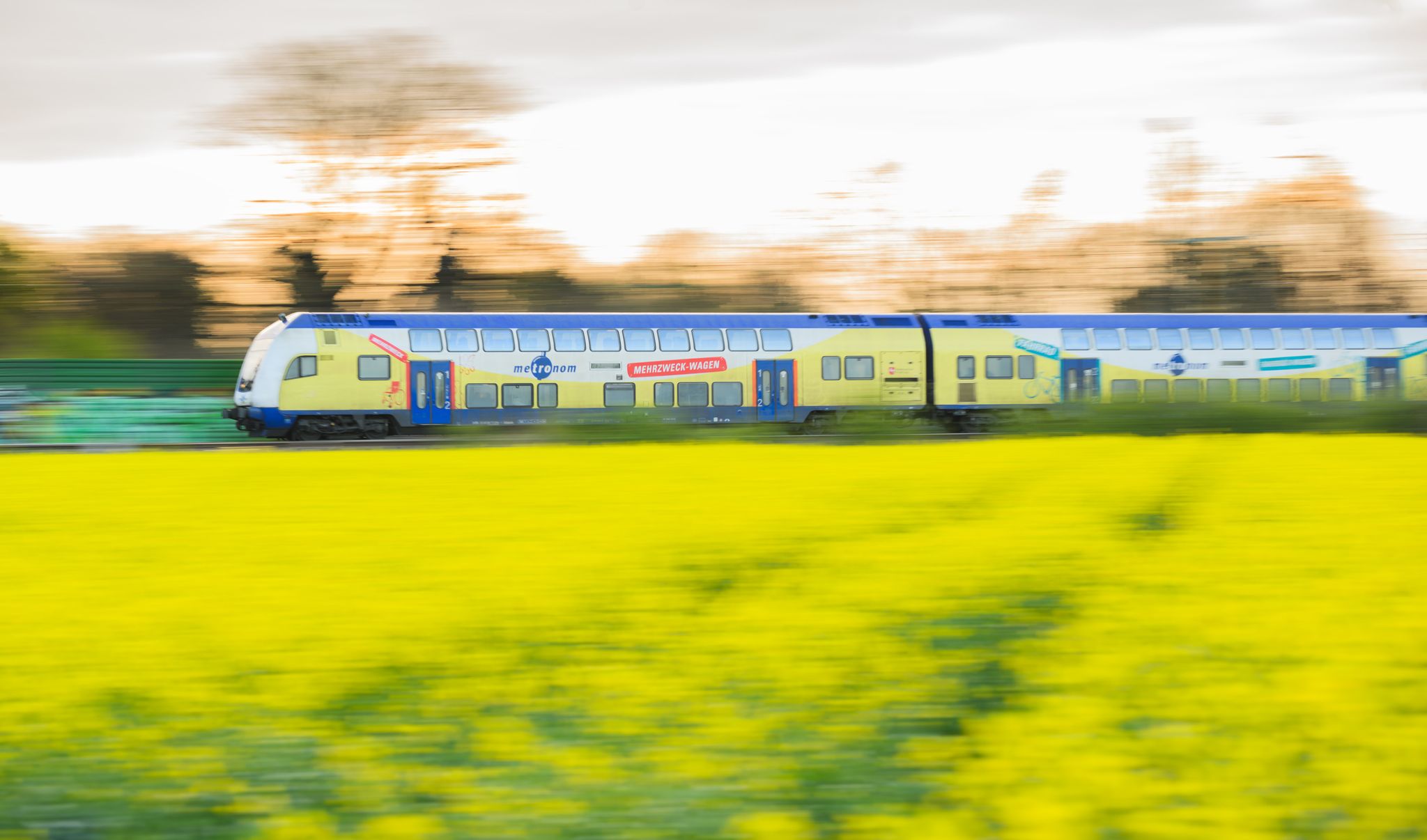 Eine Bahn Von Metronom Fährt Am Morgen An Einem Blühenden Rapsfeld Vorbei.
