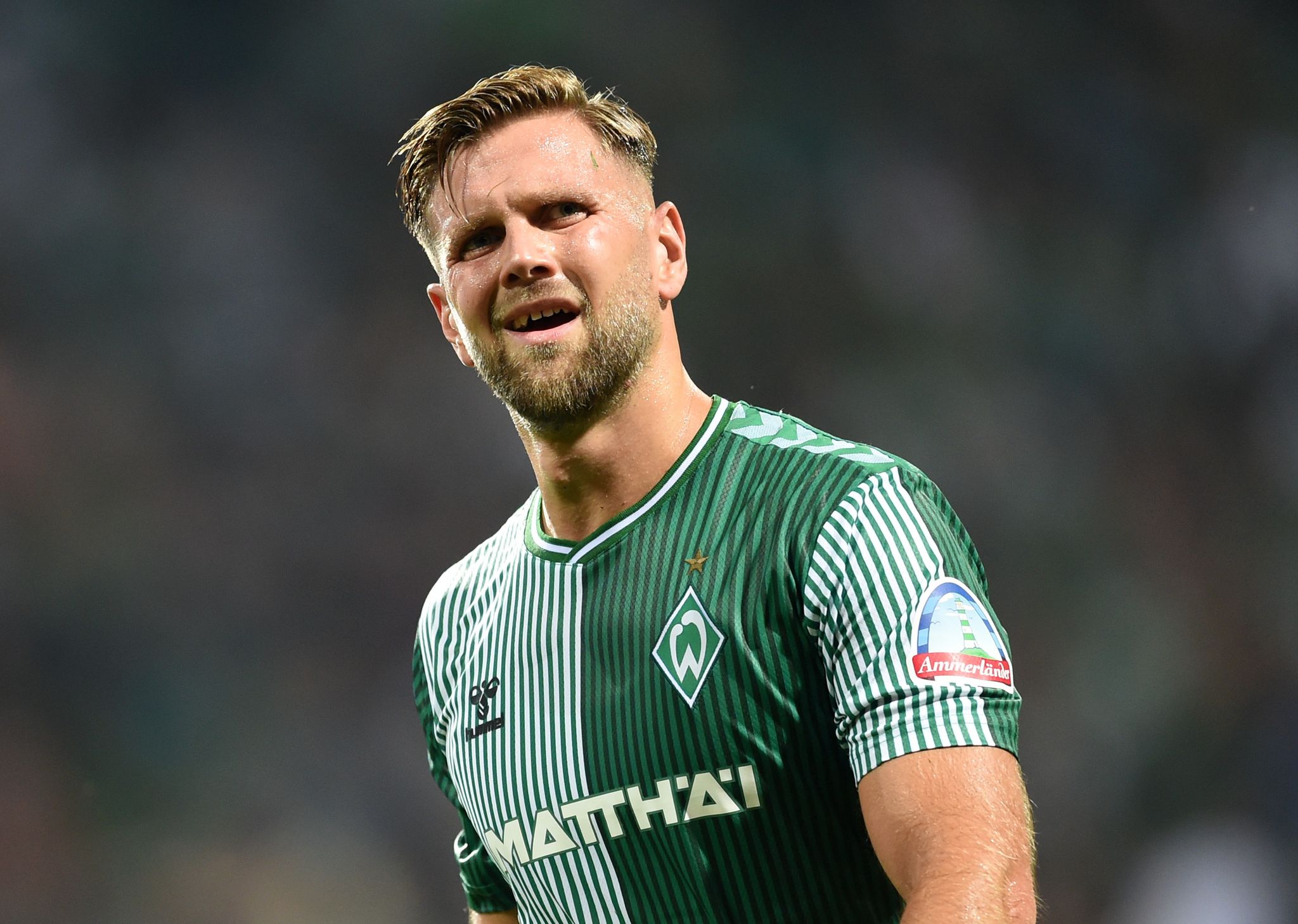 Borussia Dortmund Soll Interesse An Bremens Niclas Füllkrug Haben.