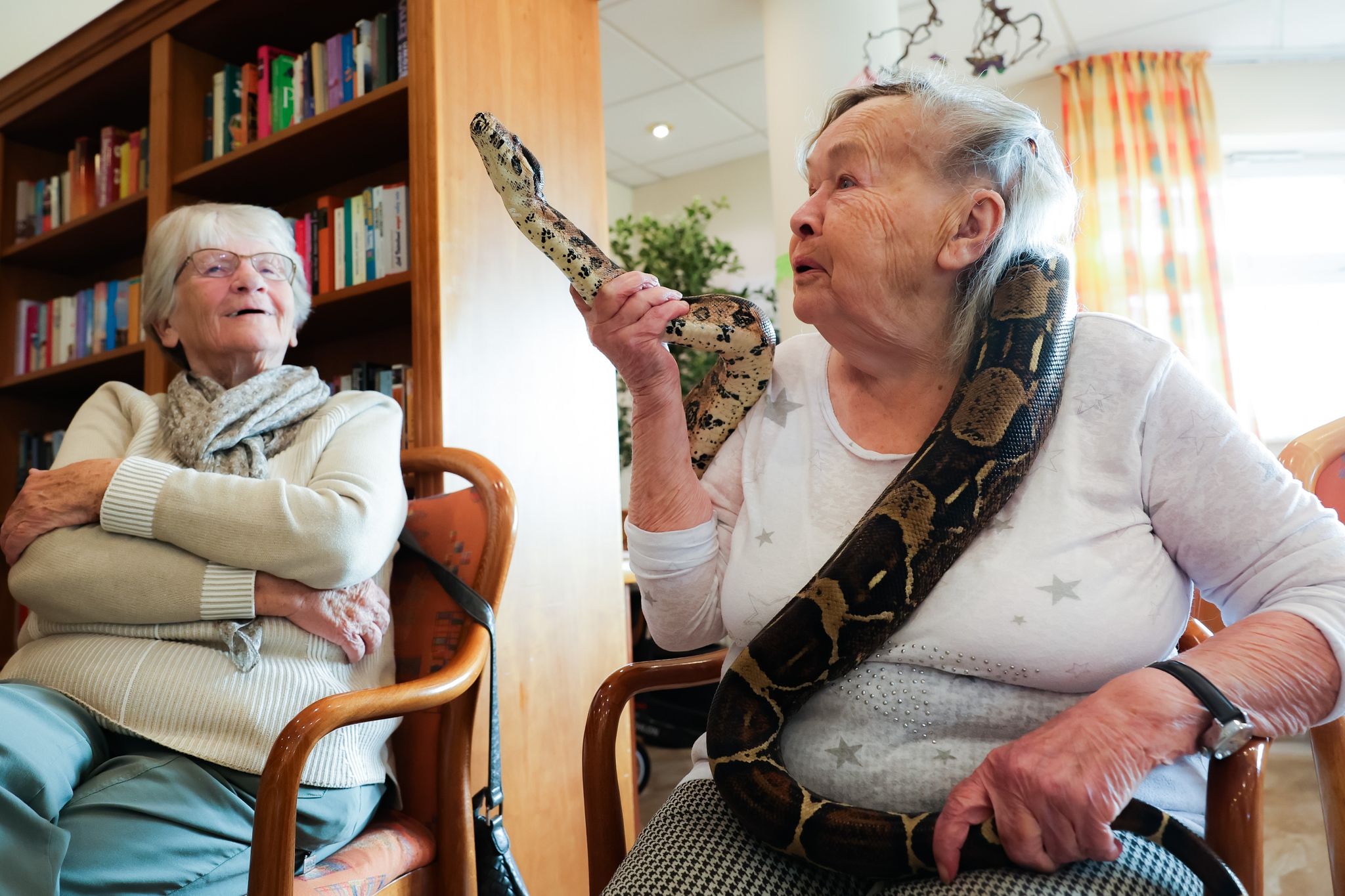 Gerda Hachmann (95) Streichelt Die Um Ihre Schultern Gelegte Boa Constrictor Lilly Im Seniorenzentrum Barsbüttel.