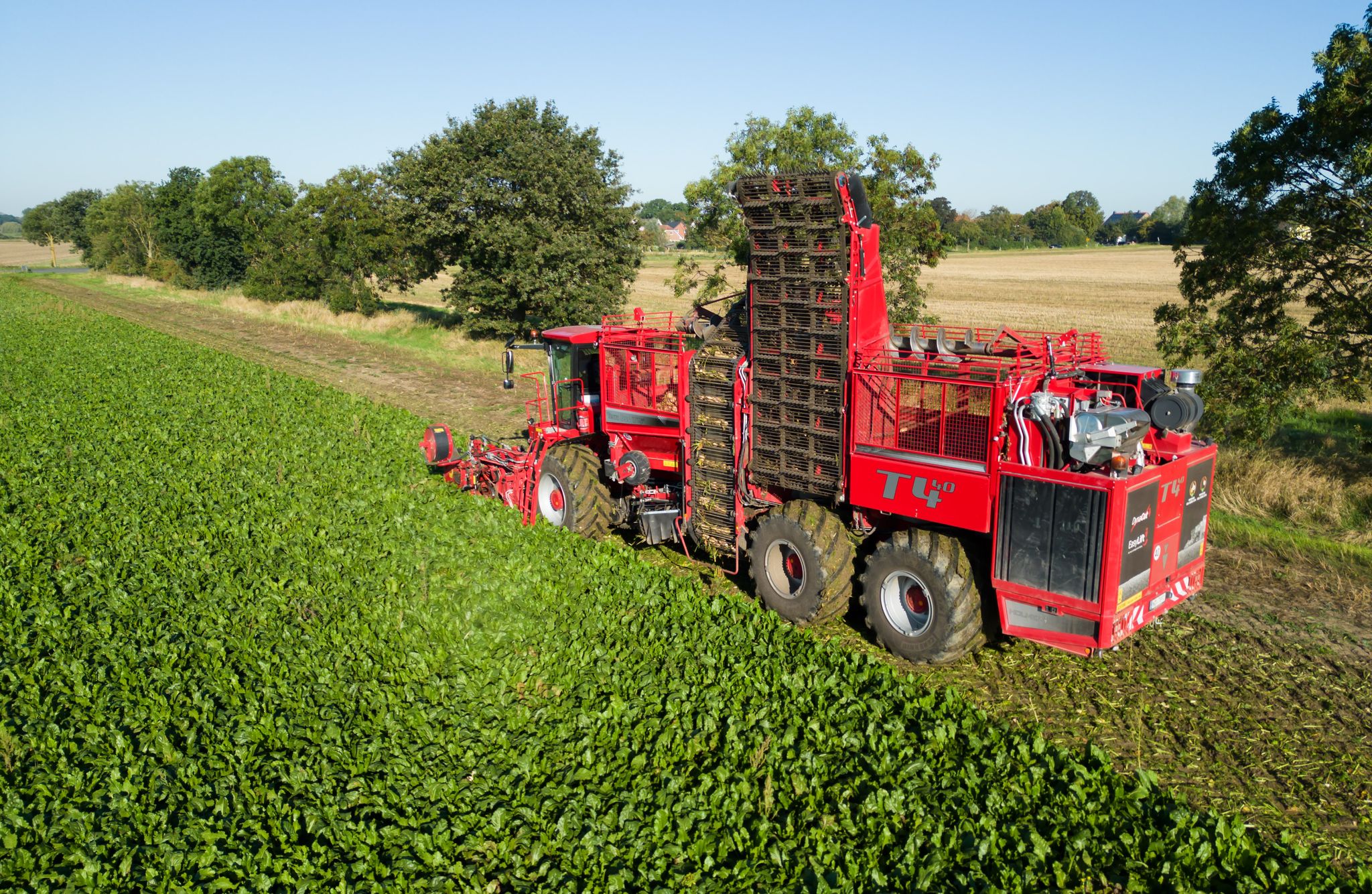 Ein Rübenroder Erntet Zuckerrüben Auf Einem Feld In Der Region Hannover.
