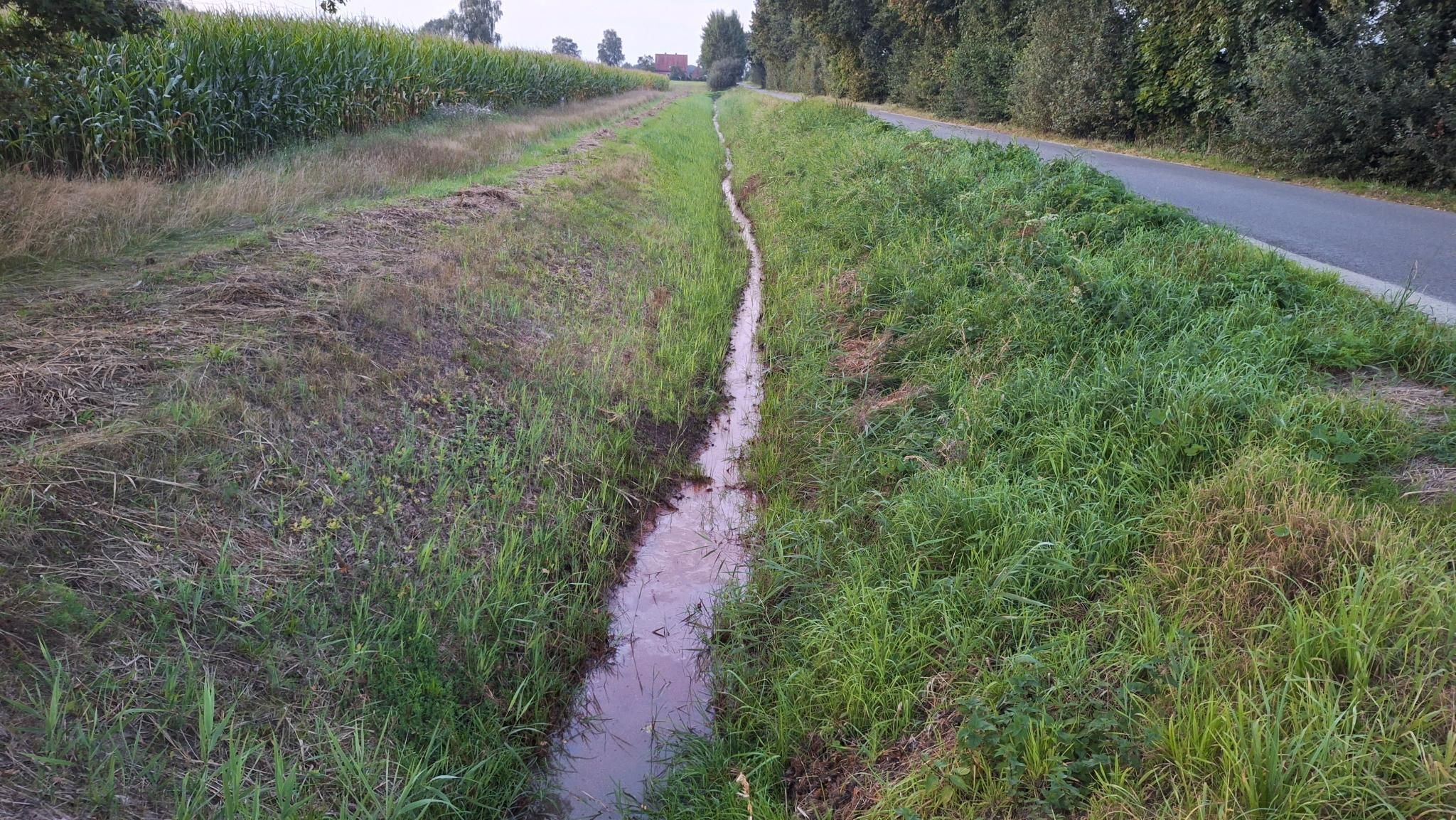 Der Graben Neben Einer Straße Im Landkreis Diepholz.