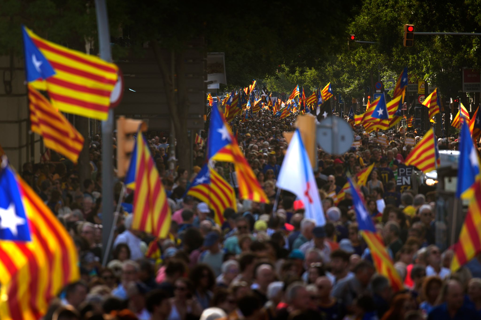 Menschen Schwenken Unabhängigkeitsflaggen Bei Einer Kundgebung Für Die Abspaltung Kataloniens Von Spanien.