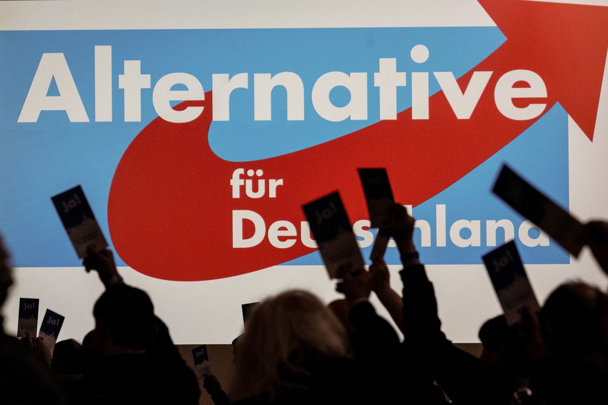 In Umfragen Kommt Die AfD Auf Mehr Als 20 Prozent.