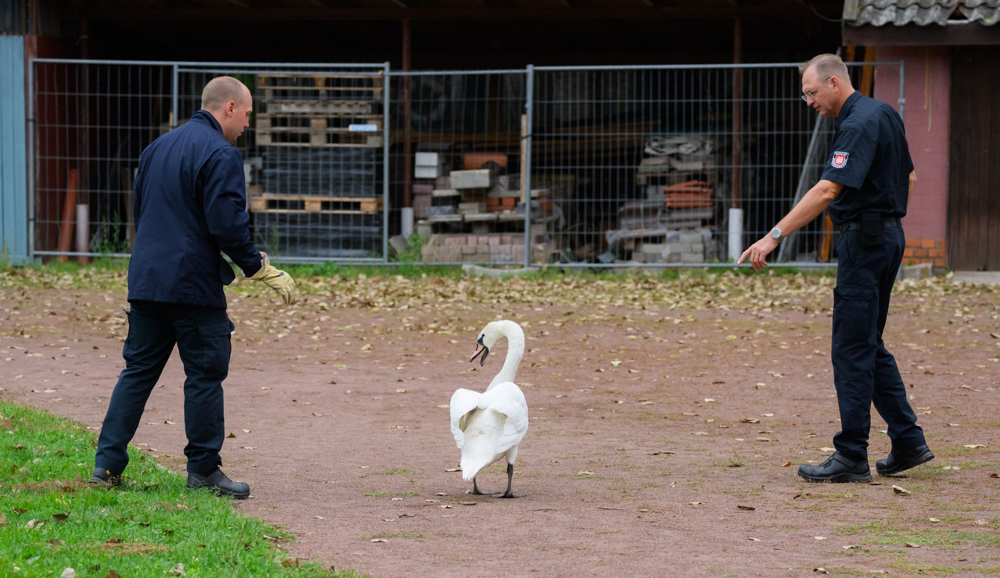 Tierretter Der Feuerwehr Beenden Schulbesuch Von Schwan
