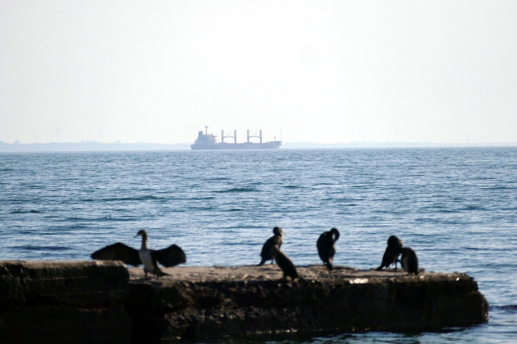 Blick Auf Das Schwarze Meer Vom Hafen In Odessa. (Symbolbild)
