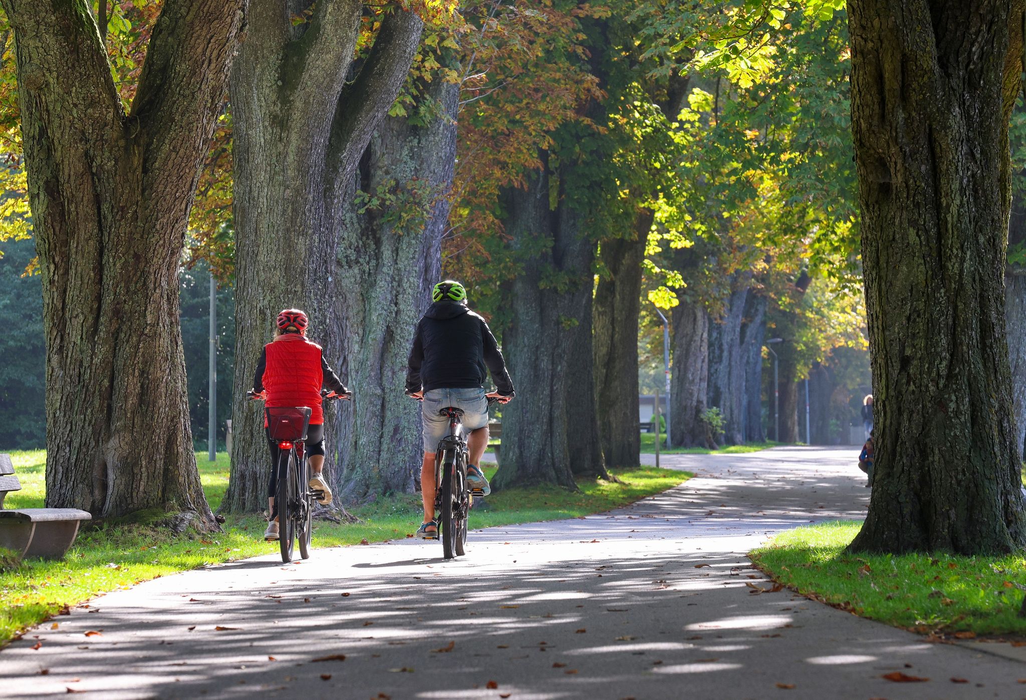 Ein Mann Und Eine Frau Fahren Bei Sonnenschein  Mit Ihren Rädern Entlang Einer Allee.