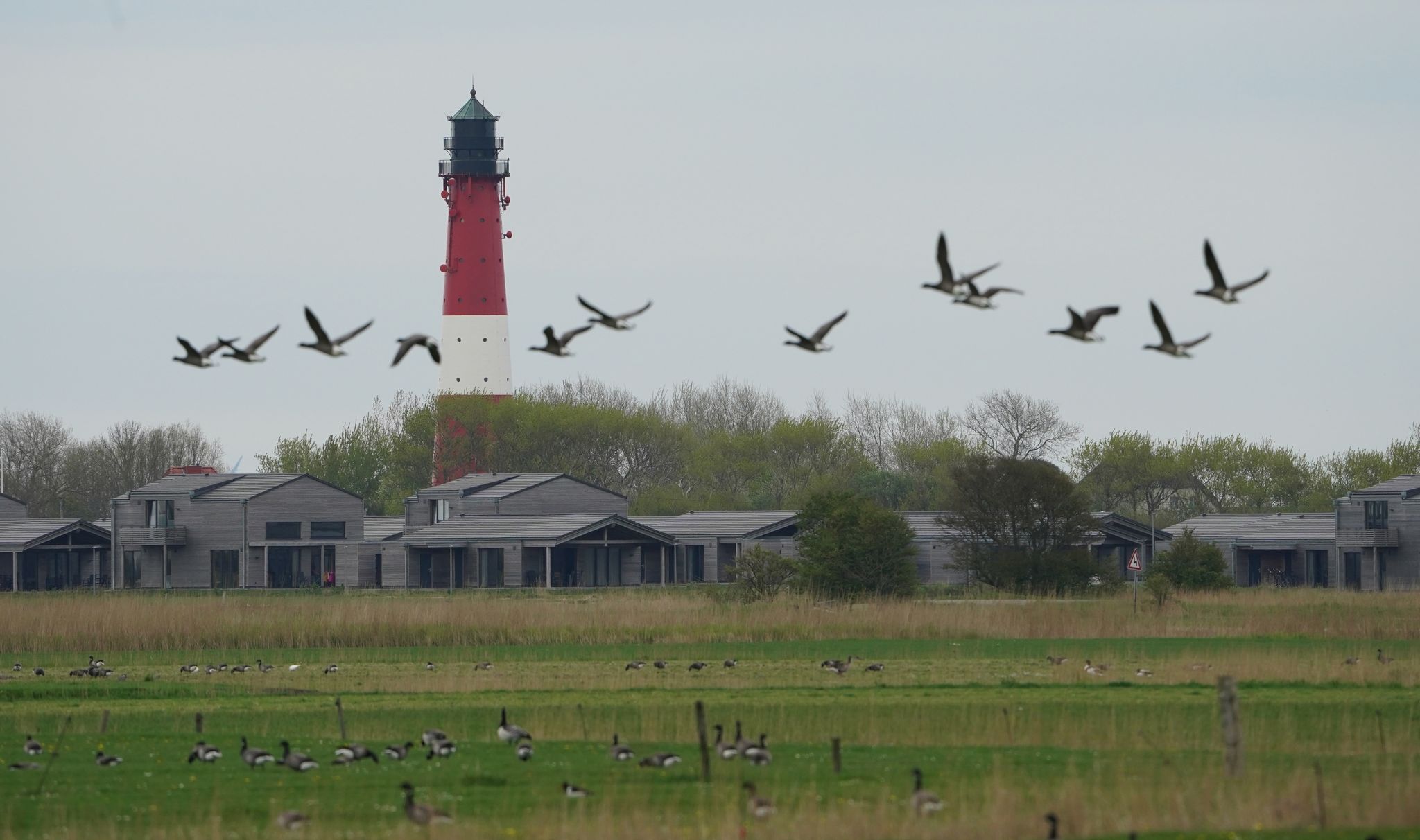 Ferienhäuser Und Ferienwohnungen Auf Der Nordseeinsel Pellworm.