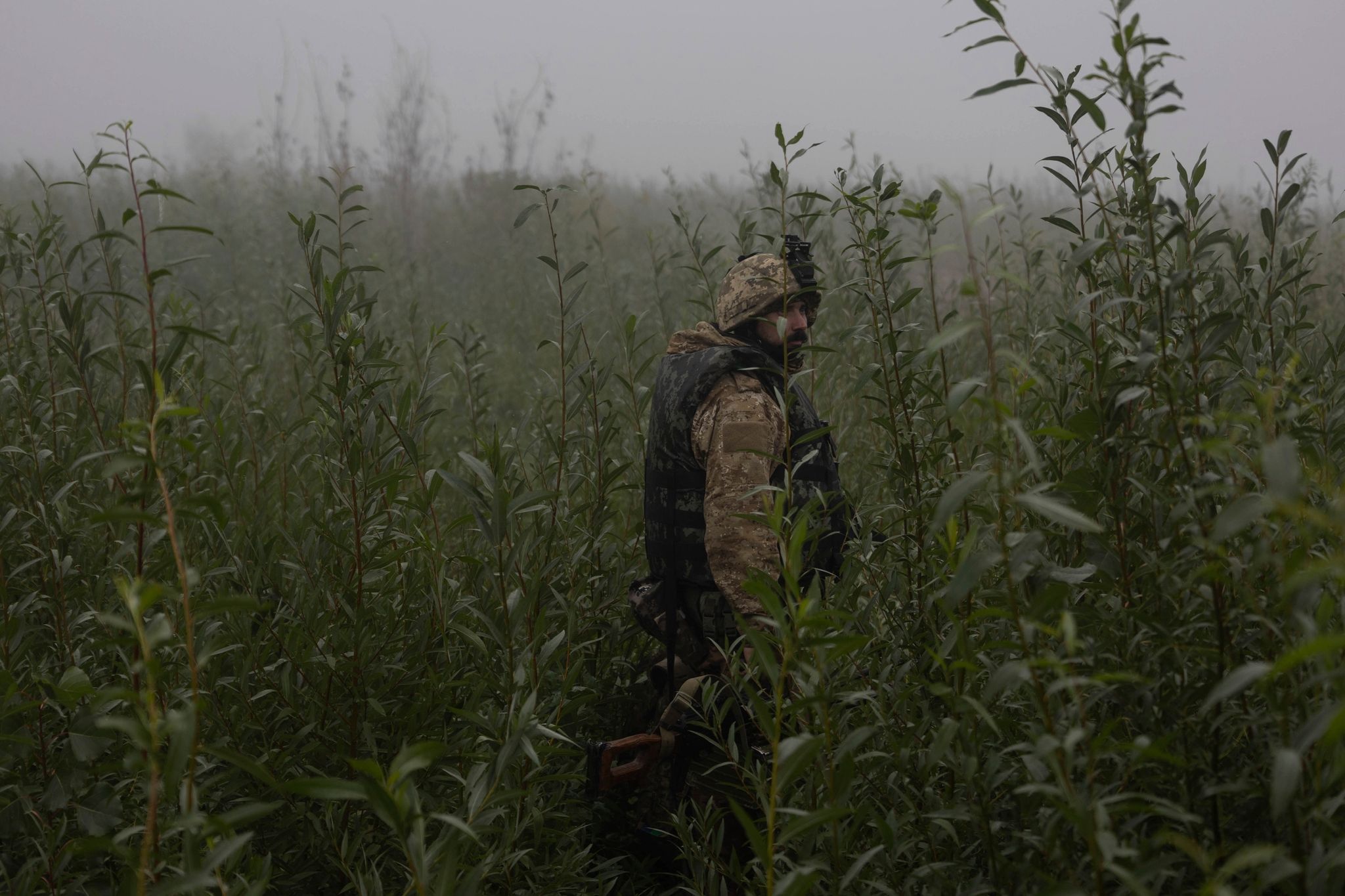 Ein Ukrainischer Marinesoldat Geht Durch Ein Gelände An Der Frontlinie Nahe Des Flusses Dnepr.