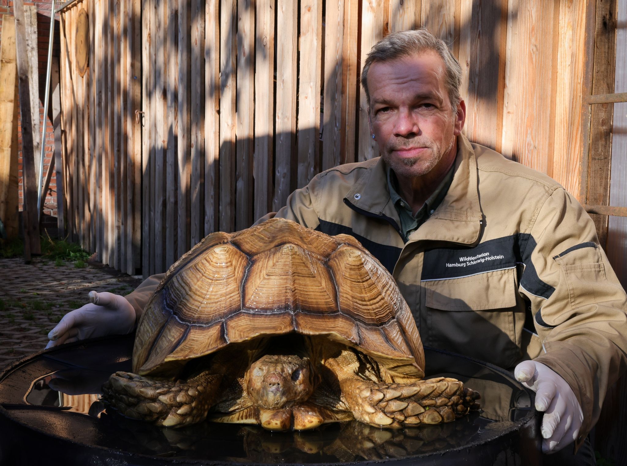 Christian Erdmann, Leiter Des Wildtier- Und Artenschutzzentrum Bei Elmshorn,  Neben Der Toten Riesenschildkröte.