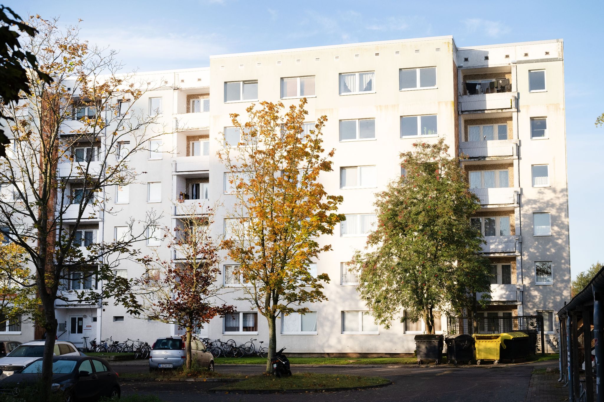 Zerstückelte Leiche Gefunden – Zwei Männer In Haft