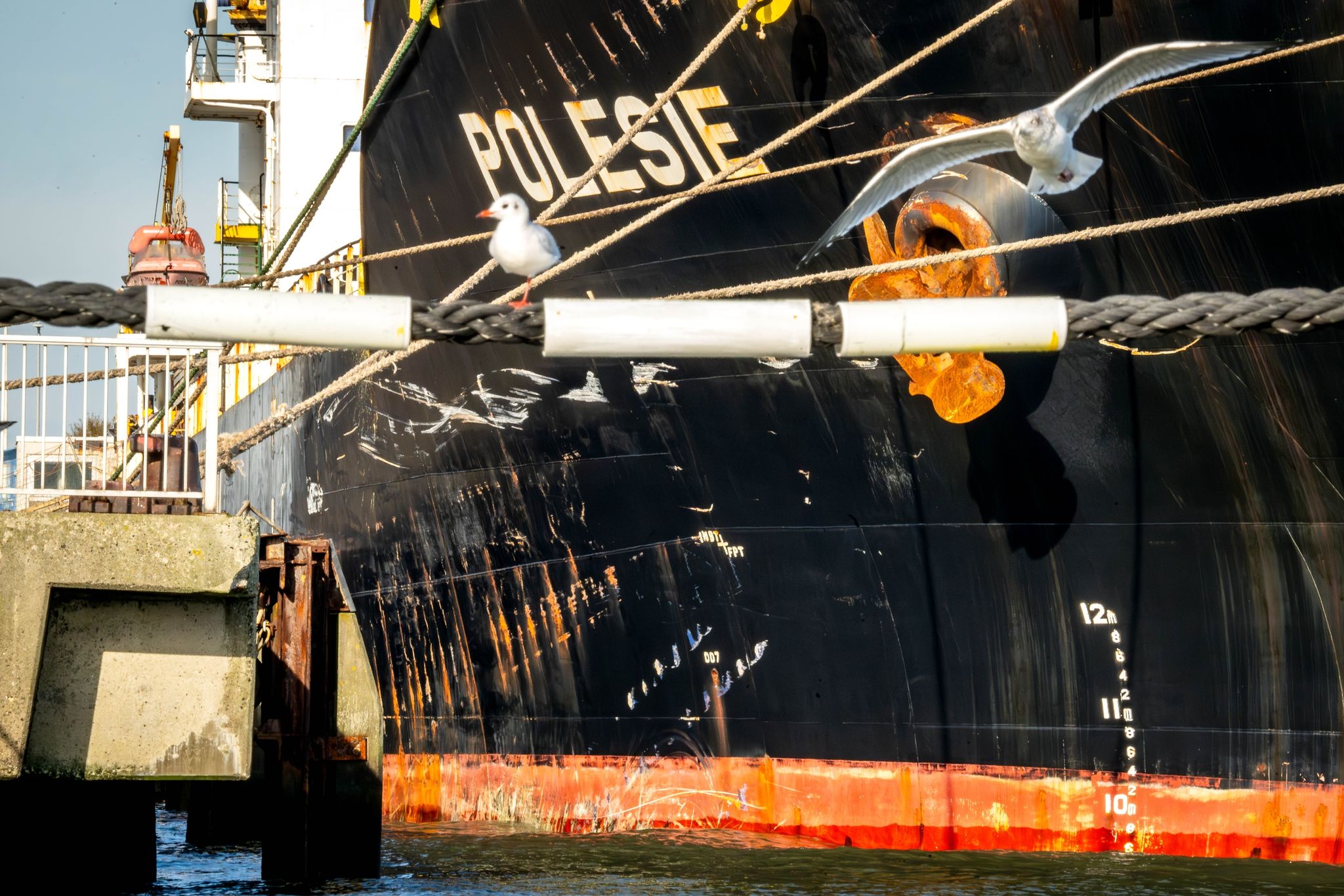 Schäden Am Frachtschiff «Polesie» Nach Dem Zusammenstoß Mit Dem Frachter «Verity».