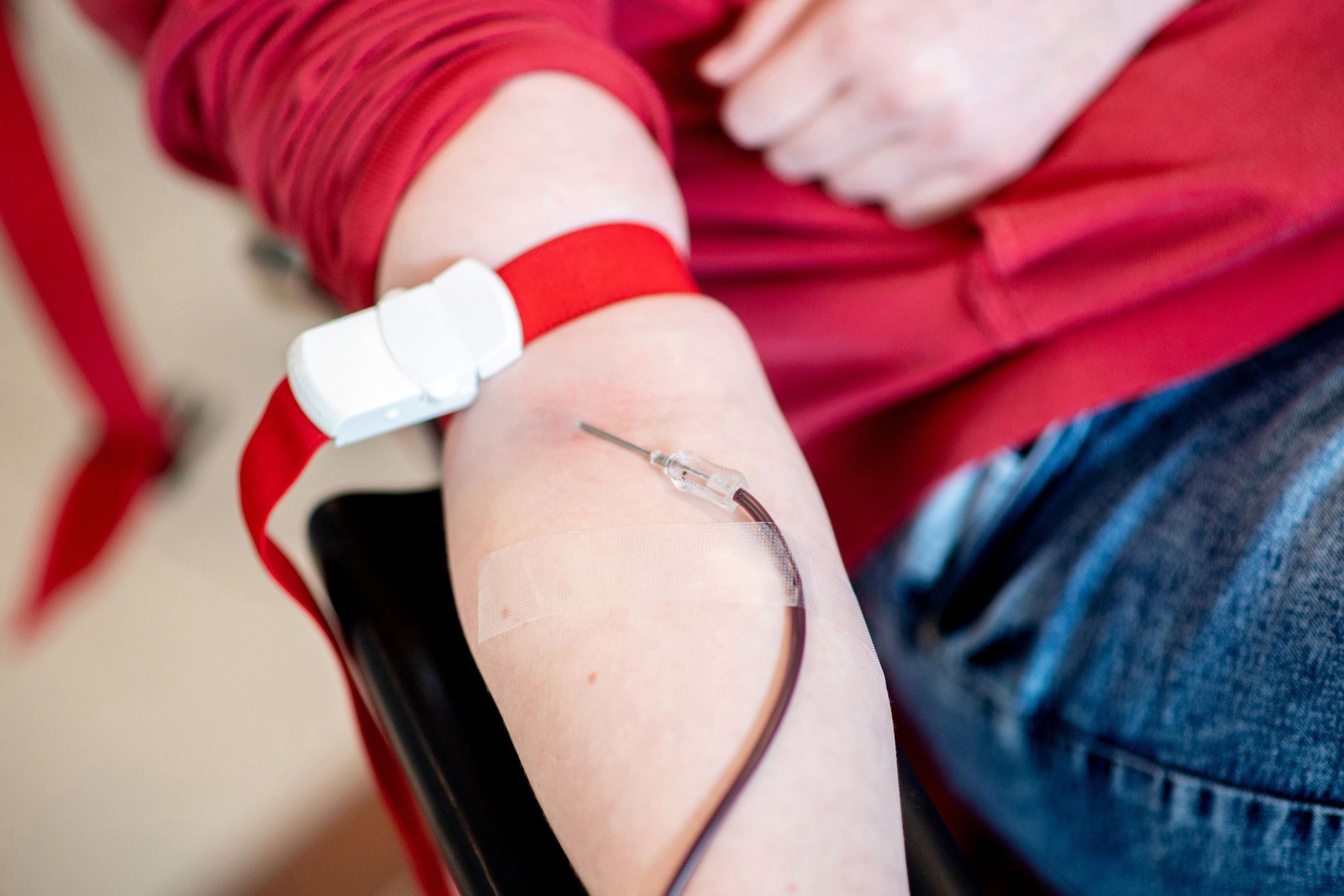 Blut Fließt Während Einer Blutspende Des Deutschen Roten Kreuzes (DRK) Vom Arm Einer Spenderin Durch Eine Nadel In Einen Beutel.