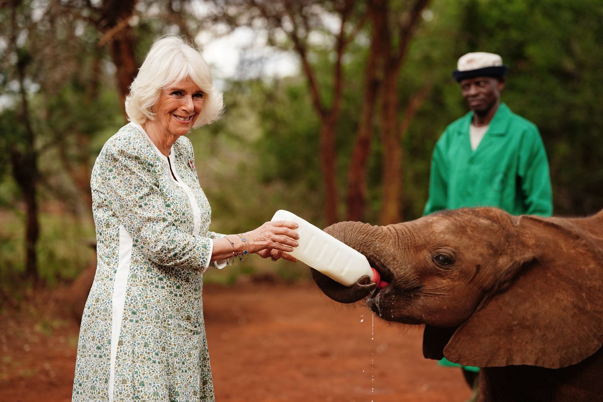 Königin Camilla (l) Füttert Ein Elefantenbaby Beim Besuch Im Nairobi-Nationalpark.