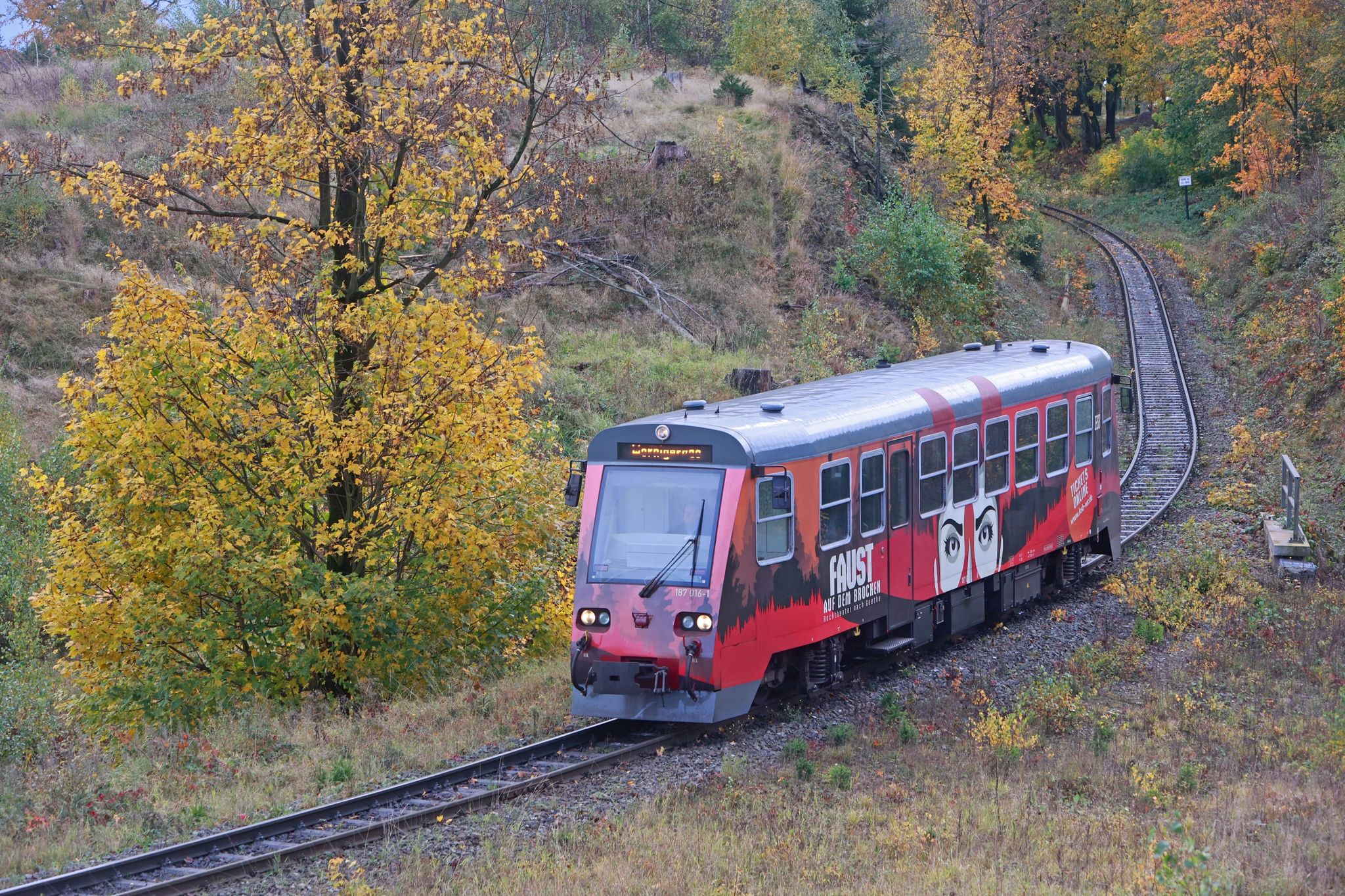 Ein Triebwagen Der Harzer Schmalspurbahn Fährt Durch Die Herbstliche Landschaft.