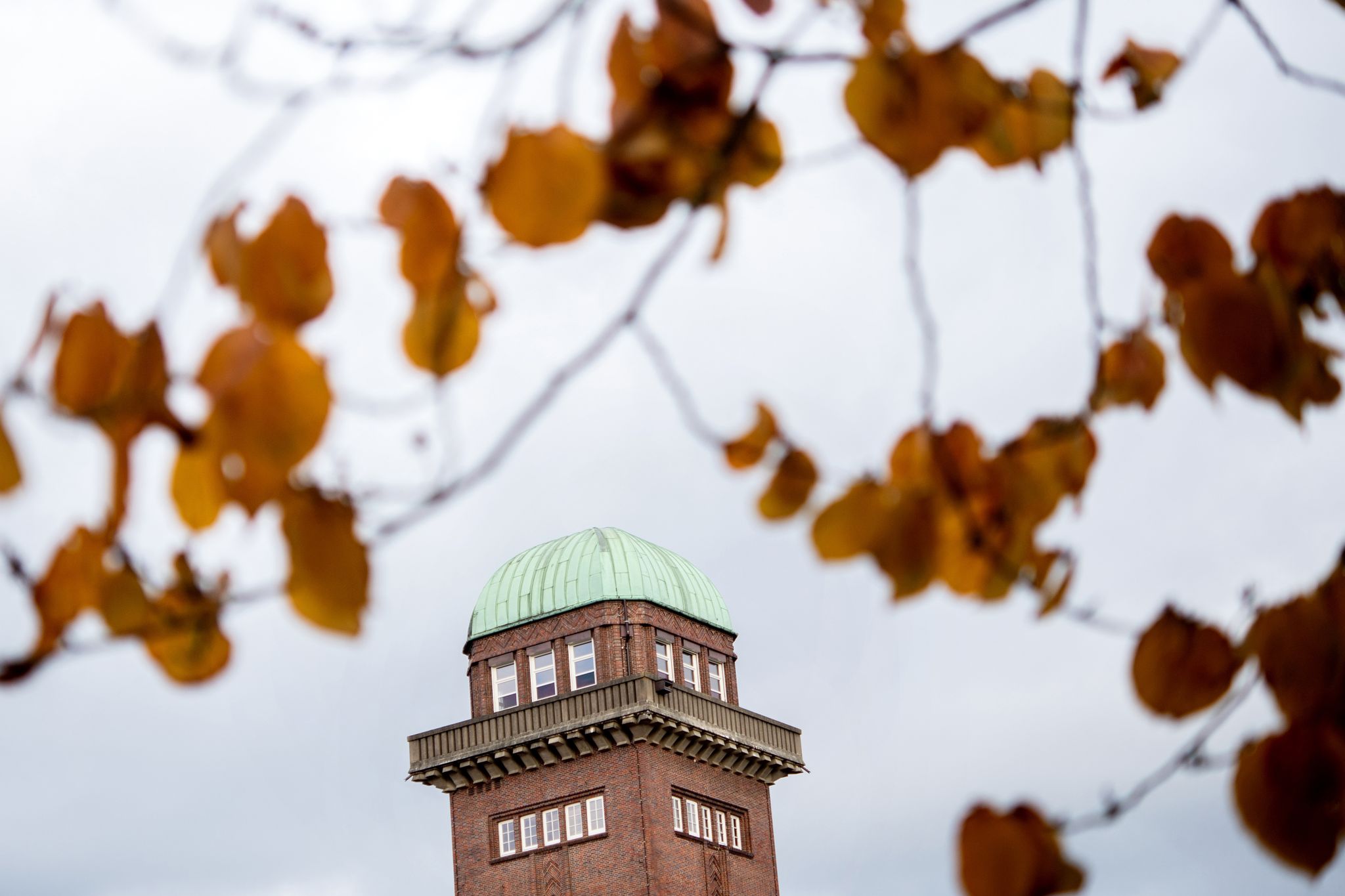 Der Ehemalige Wasserturm Der Alten Fleiwa Steht In Trübem Herbstlicht Hinter Den Blättern Eines Baums Im Botanischen Garten.