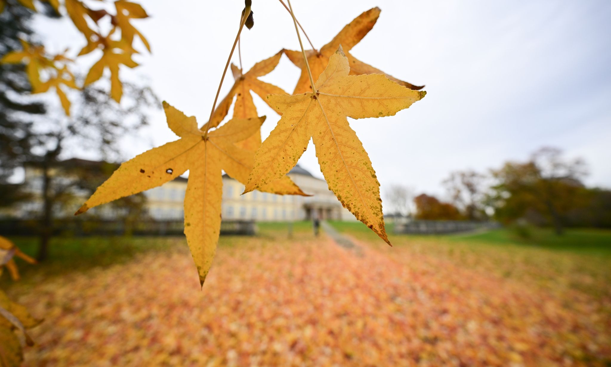 November Bringt Weiter Regen Und Viel Wind